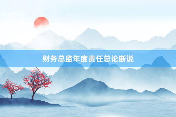 财务总监年度责任总论断说