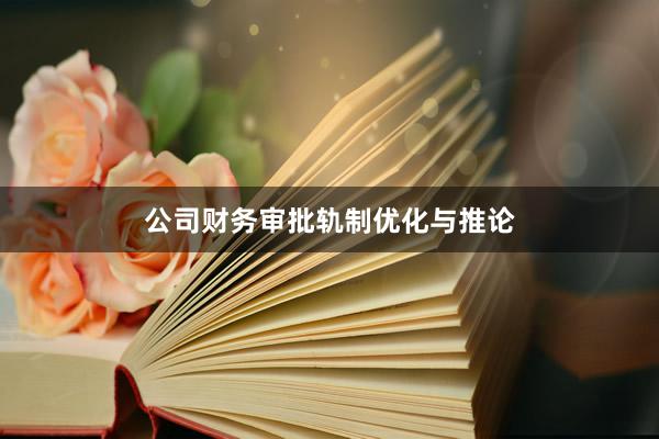 公司财务审批轨制优化与推论