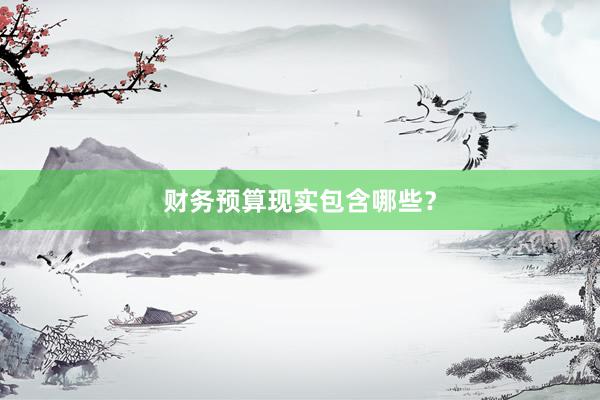 财务预算现实包含哪些？